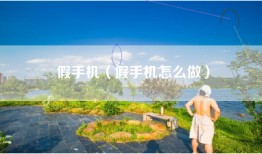 假手机（假手机怎么做）