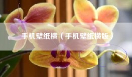 手机壁纸横（手机壁纸横版）