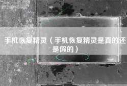 手机恢复精灵（手机恢复精灵是真的还是假的）