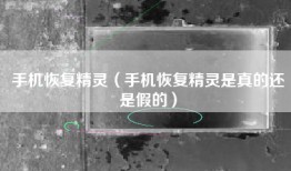 手机恢复精灵（手机恢复精灵是真的还是假的）