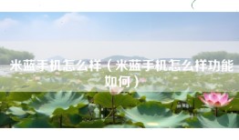 米蓝手机怎么样（米蓝手机怎么样功能如何）