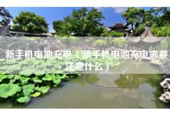 新手机电池充电（新手机电池充电需要注意什么）