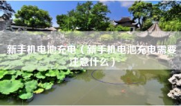 新手机电池充电（新手机电池充电需要注意什么）