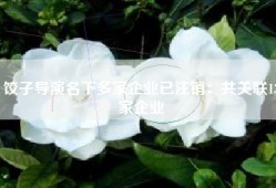 饺子导演名下多家企业已注销：共关联13家企业