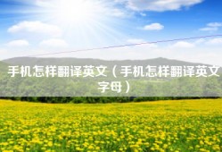 手机怎样翻译英文（手机怎样翻译英文字母）