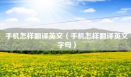 手机怎样翻译英文（手机怎样翻译英文字母）