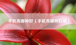 手机壳哪种好（手机壳哪种好用）