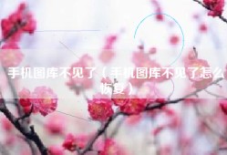 手机图库不见了（手机图库不见了怎么恢复）
