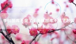 手机图库不见了（手机图库不见了怎么恢复）