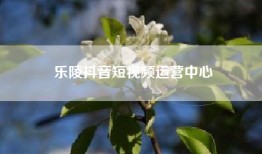 乐陵抖音短视频运营中心