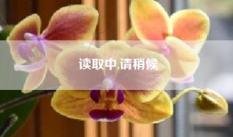 读取中,请稍候