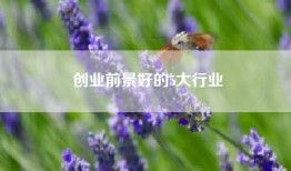 创业前景好的5大行业