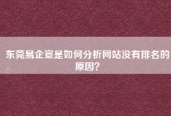 东莞易企宣是如何分析网站没有排名的原因？
