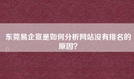 东莞易企宣是如何分析网站没有排名的原因？