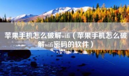 苹果手机怎么破解wifi（苹果手机怎么破解wifi密码的软件）