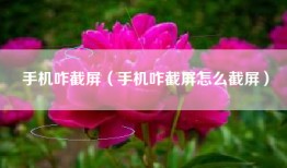 手机咋截屏（手机咋截屏怎么截屏）