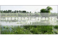 vivo手机很卡怎么办（vivo手机很卡了怎么办）
