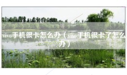 vivo手机很卡怎么办(vivo手机很卡了怎么办)