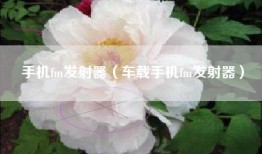 手机fm发射器（车载手机fm发射器）