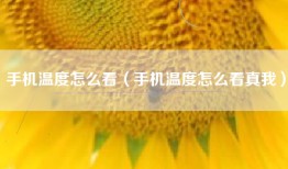 手机温度怎么看（手机温度怎么看真我）