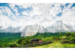手机识别不了耳机（手机识别不了耳机了）