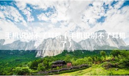 手机识别不了耳机（手机识别不了耳机了）