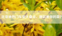 比亚迪热门车型大盘点，哪款是你的菜？