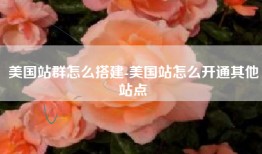 美国站群怎么搭建-美国站怎么开通其他站点