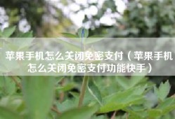 苹果手机怎么关闭免密支付（苹果手机怎么关闭免密支付功能快手）