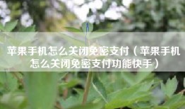 苹果手机怎么关闭免密支付（苹果手机怎么关闭免密支付功能快手）