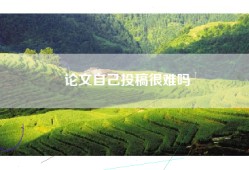 论文自己投稿很难吗