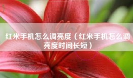 红米手机怎么调亮度（红米手机怎么调亮度时间长短）