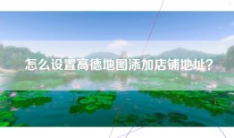 怎么设置高德地图添加店铺地址？