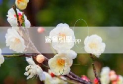 鲨鱼引擎app