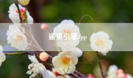 鲨鱼引擎app