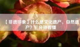 【非遗印象】什么是文化遗产、自然遗产？三分钟看懂