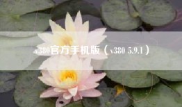 v380官方手机版（v380 5.9.1）