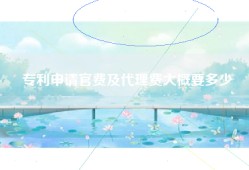 专利申请官费及代理费大概要多少