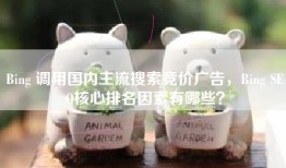 Bing 调用国内主流搜索竞价广告，Bing SEO核心排名因素有哪些？