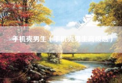 手机壳男生（手机壳男生高级感）