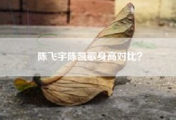 陈飞宇陈凯歌身高对比？