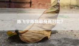 陈飞宇陈凯歌身高对比？