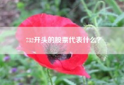 732开头的股票代表什么？