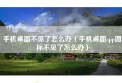 手机桌面不见了怎么办（手机桌面app图标不见了怎么办）