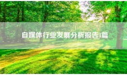 自媒体行业发展分析报告3篇