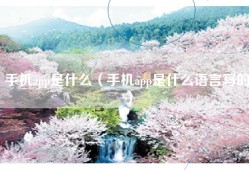 手机app是什么（手机app是什么语言写的）
