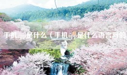 手机app是什么（手机app是什么语言写的）