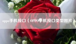oppo手机接口（OPPO手机接口类型图片）