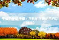 手机的正确使用（手机的正确使用方法简短）