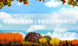 手机的正确使用（手机的正确使用方法简短）